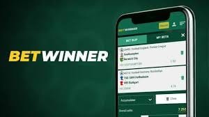 Mastering the Art of Placing Bets on BetWinner BF 2095293173