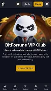 Bitfortune Casino Canada No-KYC Experience Enjoy Anonymous Gaming