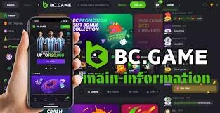 BC.Game Crypto Casino The Future of Online Gaming
