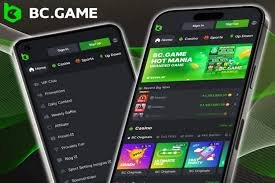 Exceptional Customer Support at BC.Game AZ Your Queries Addressed