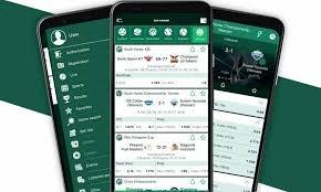 BetWinner Platform Your Gateway to Thrilling Betting Experiences